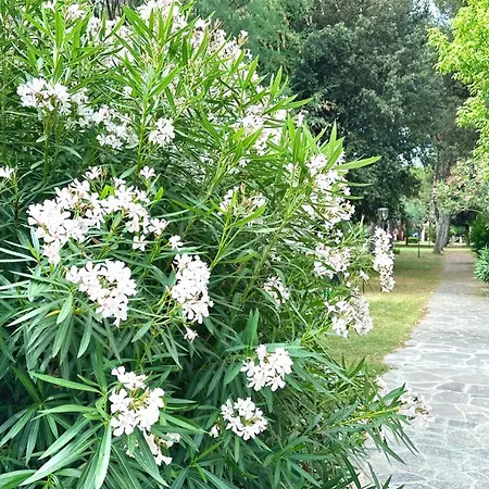 Apartament Marcelli, Trilocale Con Terrazzo In Con Piscina - M398